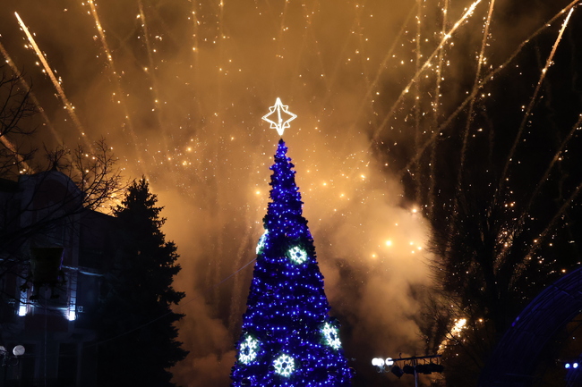 Грейна коледната елха в Ловеч