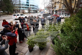 „Елхички с кауза“ - благотворителна кампания