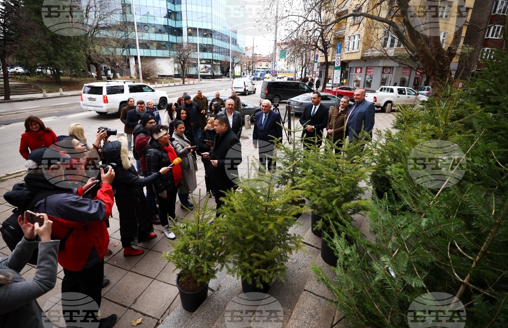 „Елхички с кауза“ - благотворителна кампания