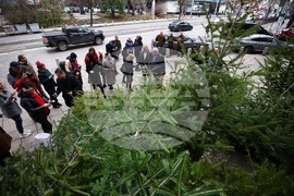 „Елхички с кауза“ - благотворителна кампания