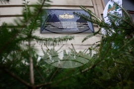 „Елхички с кауза“ - благотворителна кампания