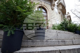 „Елхички с кауза“ - благотворителна кампания