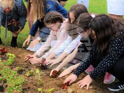 Цветен слънчев часовник - символ на чистата околна среда