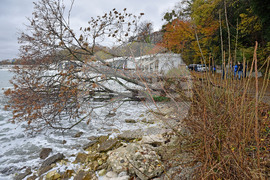 Варна - свлачище