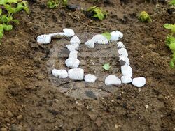 Цветен слънчев часовник - символ на чистата околна среда