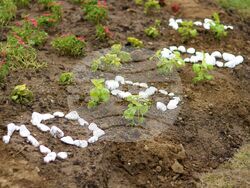 Цветен слънчев часовник - символ на чистата околна среда