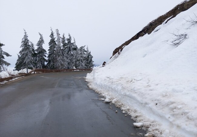 Троянският проход е затворен поради снеговалеж и навявания за тежкотоварни автомобили над 12 т