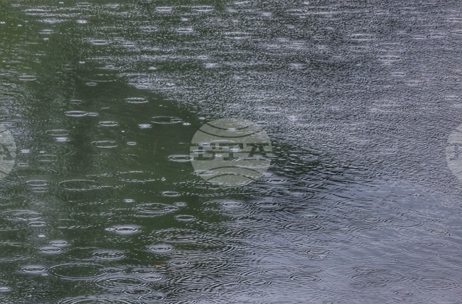 Поройни дъждове причиниха щети на около 100 домакинства в румънския окръг Караш-Северин