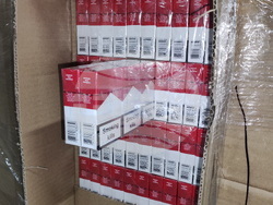 Снимка: Пресцентър МВР