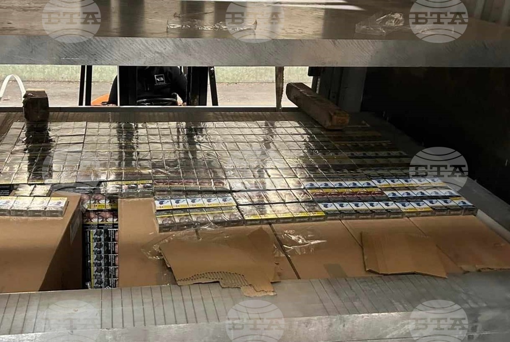 Митничари спряха контрабанда на над 11 хил. кутии цигари през ГКПП "Лесово"