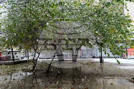 Румъния - сняг - метеорологична обстановка