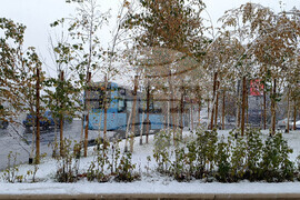 Румъния - сняг - метеорологична обстановка