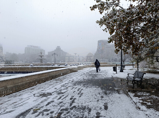 Румъния - сняг - метеорологична обстановка
