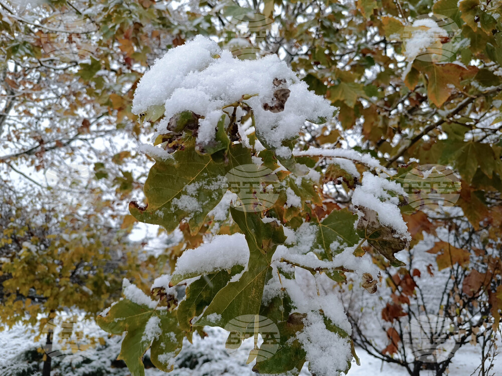 Лошо време със сняг, дъжд и силен вятър обхвана Румъния