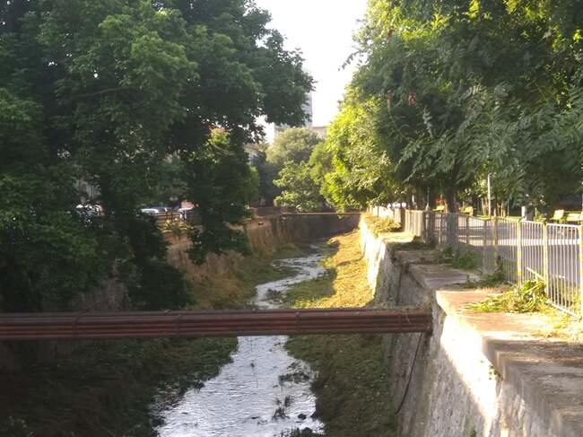 Прочистват коритото на река Тученишка от растителност