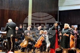 Видин - Коледна суматоха - концерт-спектакъл