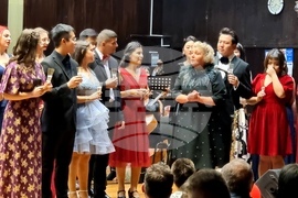 Видин - Коледна суматоха - концерт-спектакъл