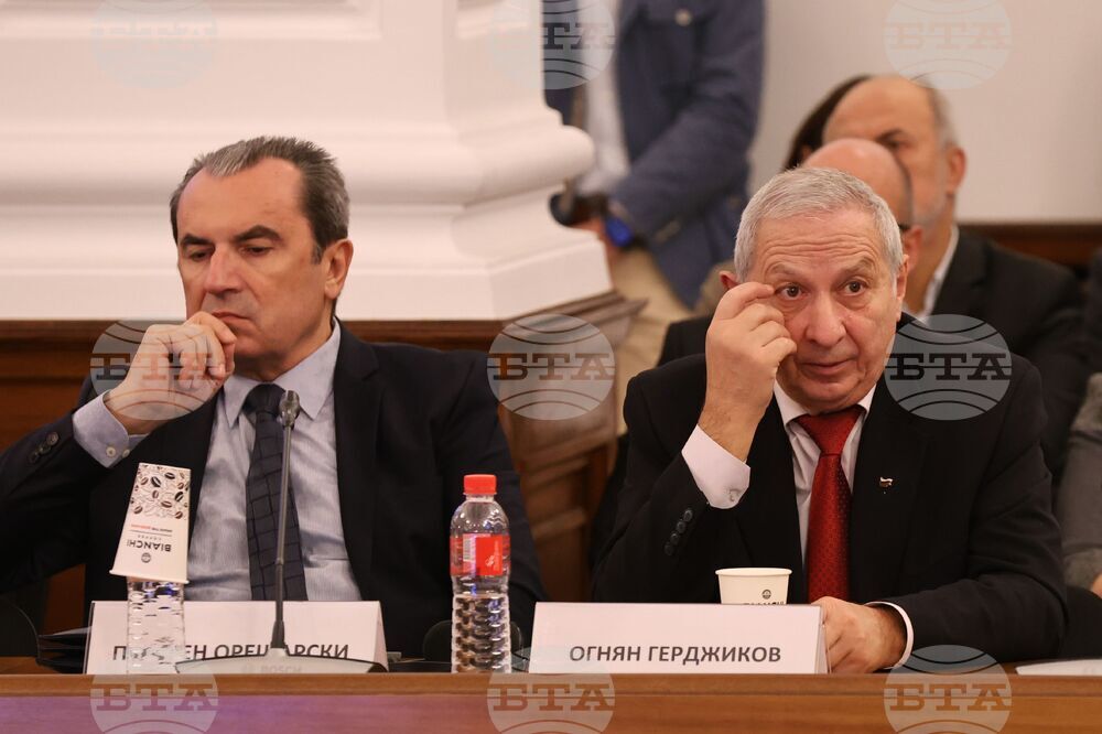 Икономически и социален съвет - тържество заседание  - годишнина