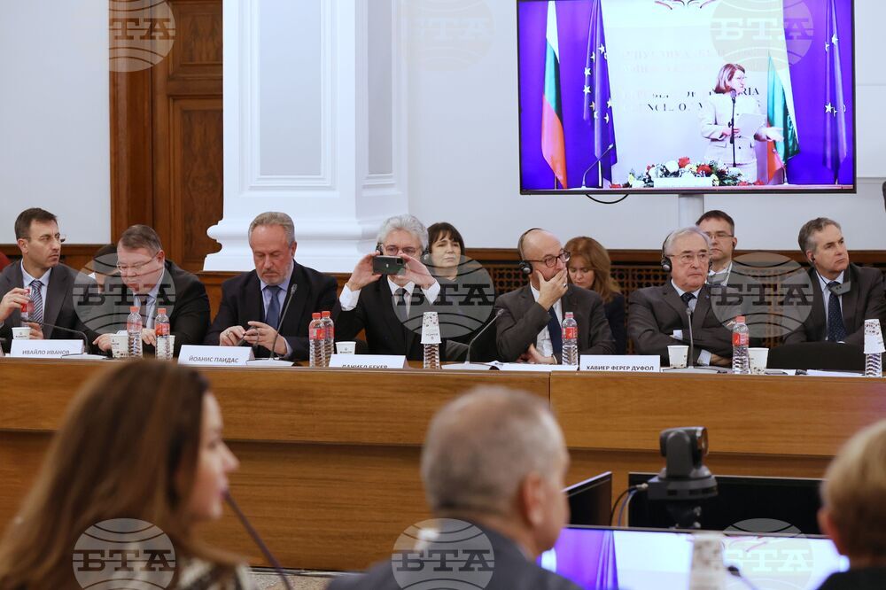 Икономически и социален съвет - тържество заседание  - годишнина