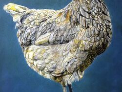 Снимка: Община Асеновград