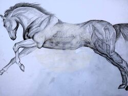 Снимка: Община Асеновград