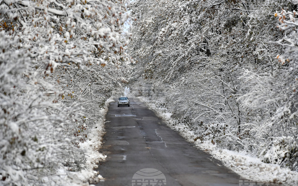 Село Малък Поровец - зима - обстановка