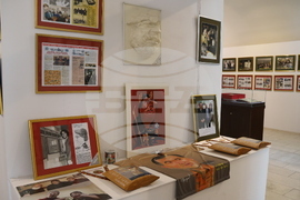 Румъния - Щефан Попа - най-бързият карикатурист в света