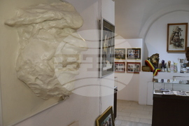 Румъния - Щефан Попа - най-бързият карикатурист в света