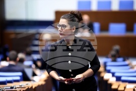 Парламент - заседание