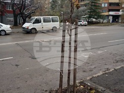 Снимка: Община Русе