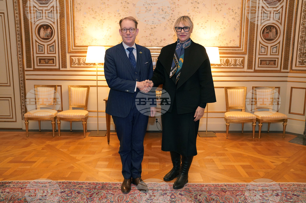 Ambassador Stoycheva-Etropolski Meets with Swedish Foreign Minister Billström