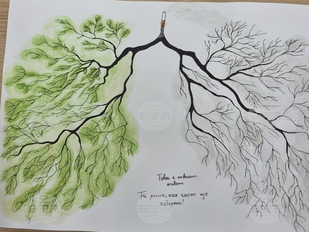 Кърджали - РЗИ - конкурс