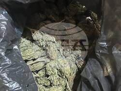 Снимка: Апелативна прокуратура – Бургас