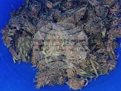 Снимка: Апелативна прокуратура – Бургас