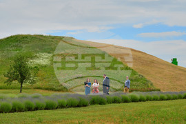 Село Свещари - Тракийска царска гробница - откриване