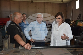 Видин - Индустриална зона Видин - Корнелия Нинова