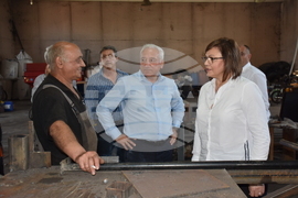 Видин - Индустриална зона Видин - Корнелия Нинова