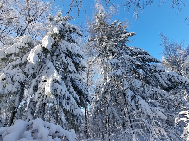 Кърджали - курортната местност "Белите Брези"