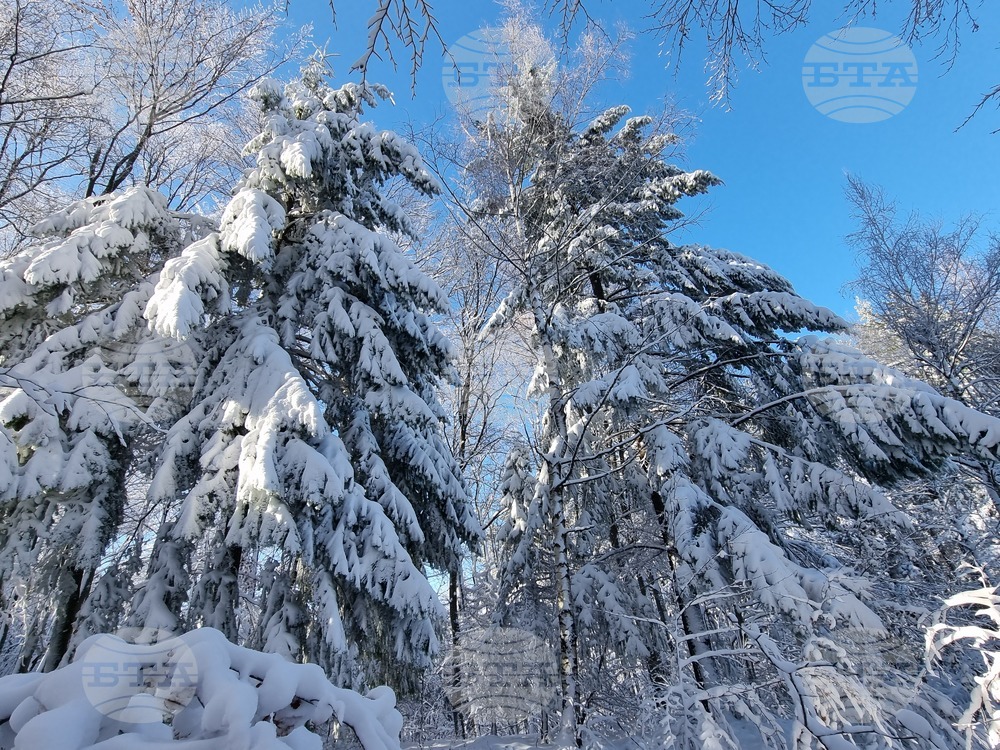 Кърджали - курортната местност "Белите Брези"