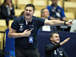 Denmark Women's Handball Worlds