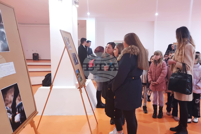 Лозница - изложба - ученик