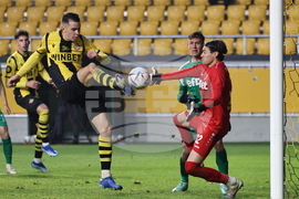 Пловдив - футбол - Ботев (Пловдив) - Хебър (Пазарджик)