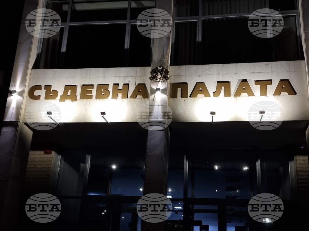 Благоевград - шествие