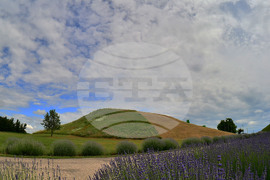 Село Свещари - Тракийска царска гробница - туристи