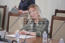 Парламент - Комисия по външна политика