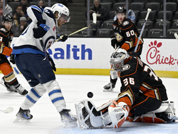 Jets Ducks Hockey