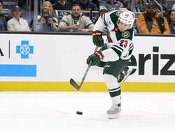 Wild Kraken Hockey