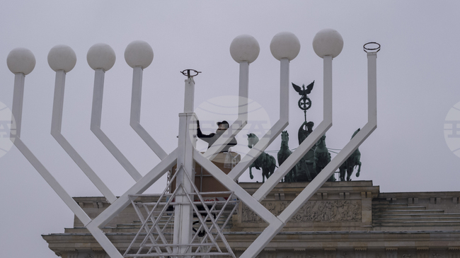 Германски еврейски лидер заяви, че евреите ще напуснат страната, ако крайнодясната партия "Алтернатива за Германия" дойде на власт