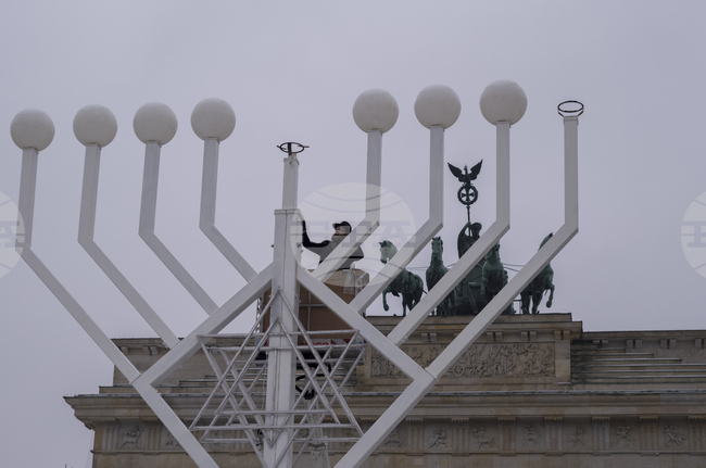Германски еврейски лидер заяви, че евреите ще напуснат страната, ако крайнодясната партия "Алтернатива за Германия" дойде на власт