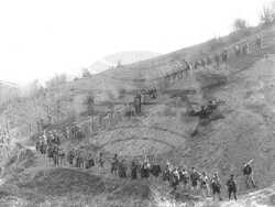 Ефрем Чучков - възвание